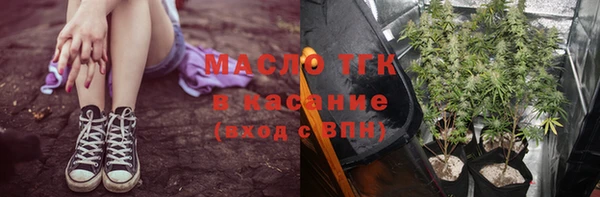 мет Бородино